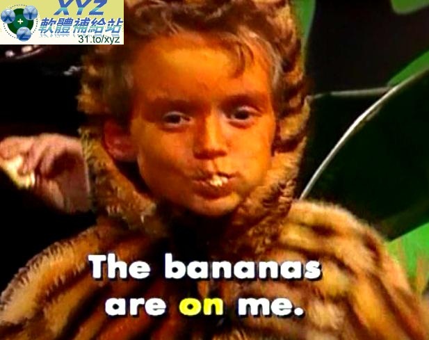 台灣麥克 MAGIC BOX 魔術盒 美語童謠集 英語歌唱伴唱歡樂版(幼兒教學)(適用任何家用DVD播放機)(4DVD)